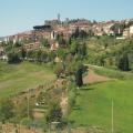 Montescudaio - Veduta del paese 2